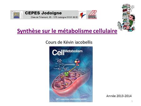 Synthèse sur le métabolisme cellulaire