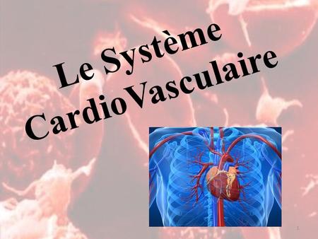 Le Système CardioVasculaire