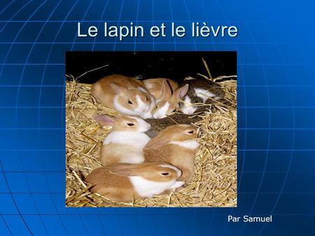 Le lapin et le lièvre Par Samuel.