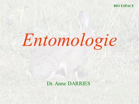 BIO ESPACE Entomologie Dr. Anne DARRIES.