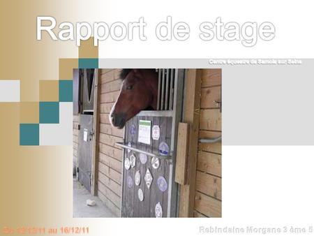 Rapport de stage Du 12/12/11 au 16/12/11 Rebindaine Morgane 3 ème 5