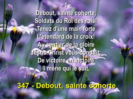 347 - Debout, sainte cohorte