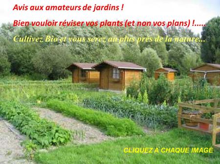 Avis aux amateurs de jardins ! Bien vouloir réviser vos plants (et non vos plans) !..... Cultivez Bio et vous serez au plus près de la nature... CLIQUEZ.