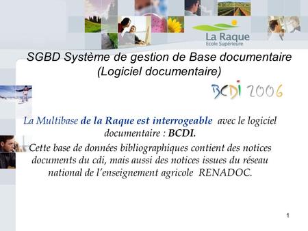 SGBD Système de gestion de Base documentaire (Logiciel documentaire)