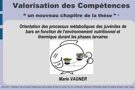 ABG-2007 –Orientation des processus métaboliques des juvéniles de bars en fonction de l’environnement nutritionnel et thermique durant les phases larvaires.