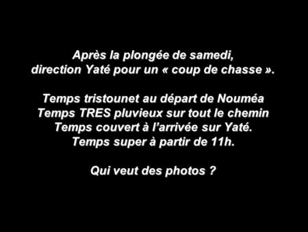 Après la plongée de samedi, direction Yaté pour un « coup de chasse ». Temps tristounet au départ de Nouméa Temps TRES pluvieux sur tout le chemin Temps.