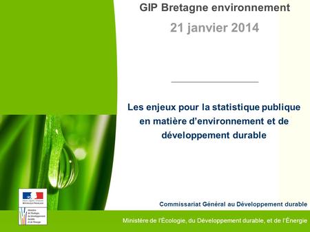 1 GIP Bretagne environnement - 21 janvier 2014 Commissariat Général au Développement durable Les enjeux pour la statistique publique en matière d’environnement.