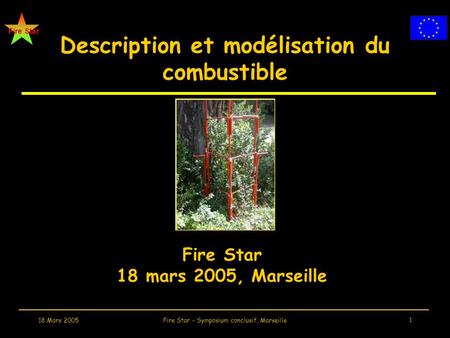 Fire Star 18 Mars 2005Fire Star - Symposium conclusif, Marseille 1 Description et modélisation du combustible Fire Star 18 mars 2005, Marseille.