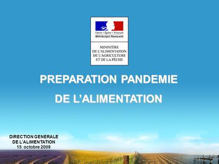 PREPARATION PANDEMIE DE L’ALIMENTATION DIRECTION GENERALE DE L’ALIMENTATION 15 octobre 2009.