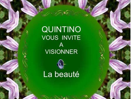 QUINTINO VOUS INVITE A VISIONNER La beauté