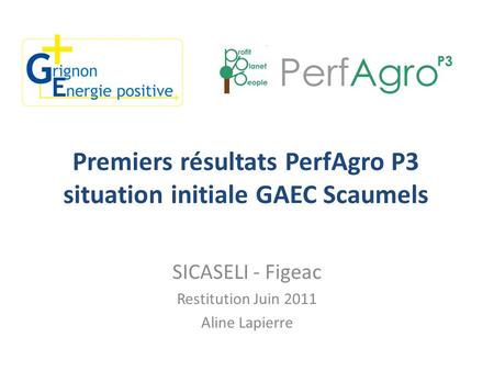 Premiers résultats PerfAgro P3 situation initiale GAEC Scaumels
