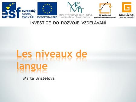 Marta Bříštělová. Les registres de langue  Le langage soutenu  Le langage courant  Le langage familier 2.