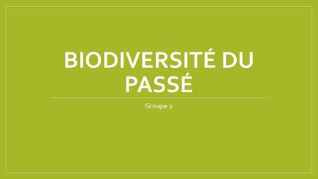 Biodiversité du passé Groupe 2.