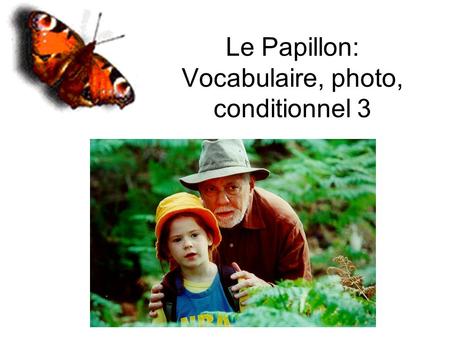 Le Papillon: Vocabulaire, photo, conditionnel 3. Animaux L’oiseauLa chrysalide La chenille.
