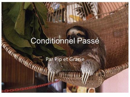 Conditionnel Passé Par Pip et Gracie. You would have done something in the past if something had been different. AUXILIARY VERB + P.P Followed with: 