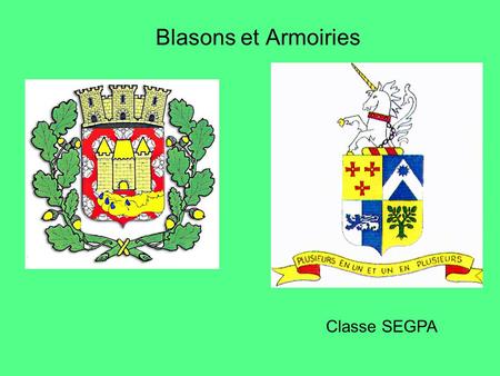 Blasons et Armoiries Classe SEGPA.