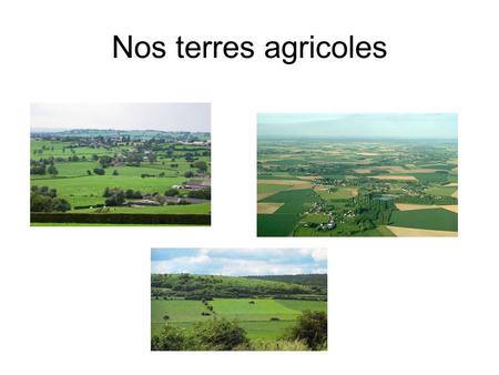 Nos terres agricoles. Occupation du sol en Wallonie.