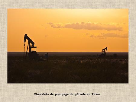 Chevalets de pompage de pétrole au Texas