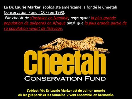Le Dr. Laurie Marker, zoologiste américaine, a fondé le Cheetah Conservation Fund (CCF) en 1990. Elle choisit de s’installer en Namibie, pays ayant la.