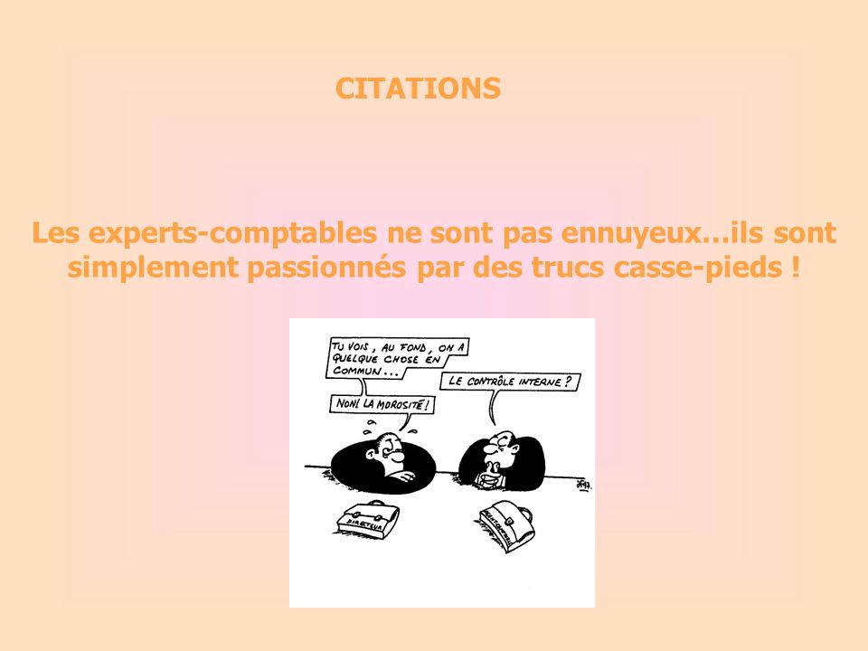 Citations Les Experts Comptables Ne Sont Pas Ennuyeux Ils Sont Simplement Passionnes Par Des Trucs Casse Pieds Ppt Video Online Telecharger