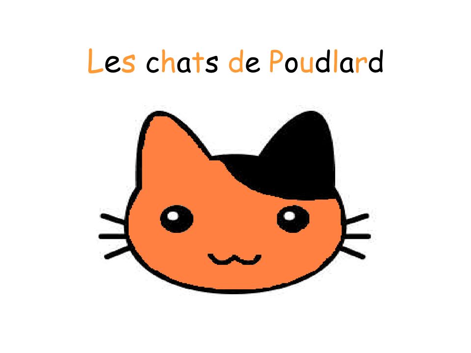 Les Chats De Poudlard Ppt Telecharger