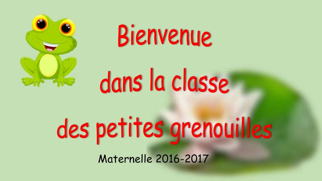 Bienvenue Dans La Classe Des Petites Grenouilles Ppt Video Online Telecharger