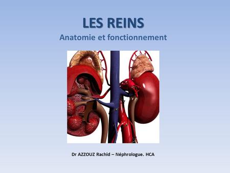 Anatomie et fonctionnement Dr AZZOUZ Rachid – Néphrologue. HCA