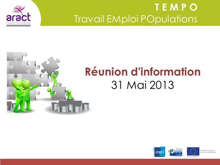 T E M P O Travail EMploi POpulations Réunion d'information 31 Mai 2013.