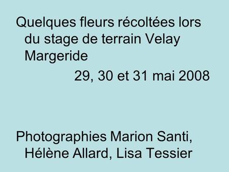 Quelques fleurs récoltées lors du stage de terrain Velay Margeride 29, 30 et 31 mai 2008 Photographies Marion Santi, Hélène Allard, Lisa Tessier.