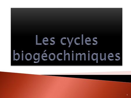 Les cycles biogéochimiques