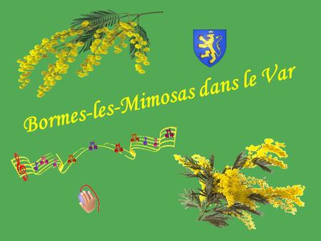 Bormes-les-Mimosas dans le Var