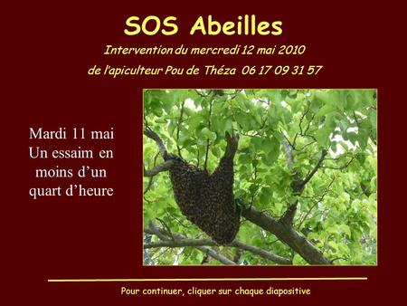 SOS Abeilles Intervention du mercredi 12 mai 2010 de l’apiculteur Pou de Théza 06 17 09 31 57 Pour continuer, cliquer sur chaque diapositive Mardi 11 mai.