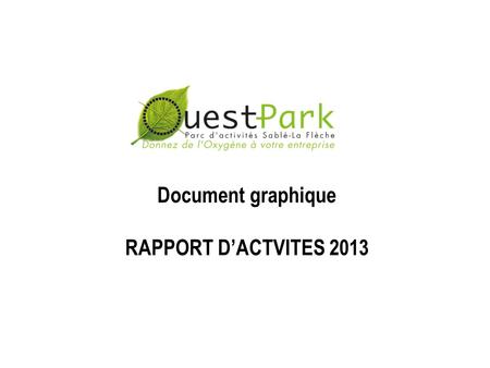 Document graphique RAPPORT D’ACTVITES 2013. Affaires foncières.