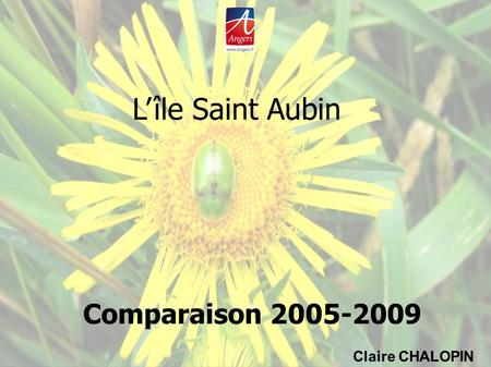 L’île Saint Aubin Claire CHALOPIN Comparaison 2005-2009.