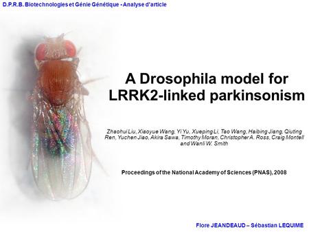 A Drosophila model for LRRK2-linked parkinsonism