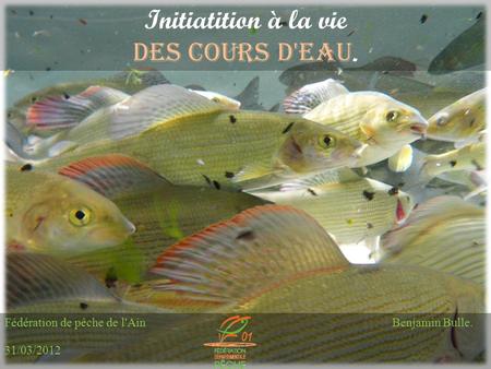Initiatition à la vie des cours d'eau. Fédération de pêche de l'AinBenjamin Bulle. 31/03/2012.