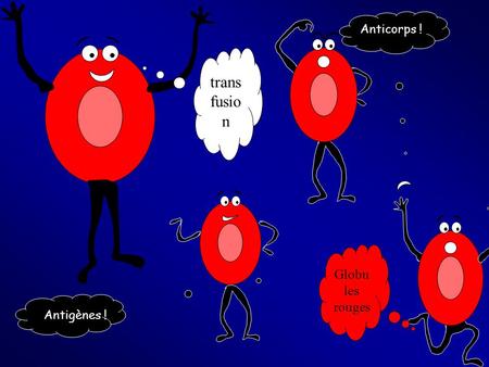 Anticorps ! transfusion Globules rouges Antigènes !