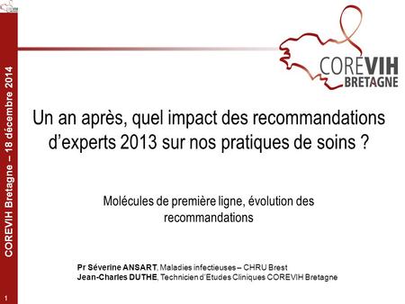 COREVIH Bretagne – 18 décembre 2014 1 Un an après, quel impact des recommandations d’experts 2013 sur nos pratiques de soins ? Pr Séverine ANSART, Maladies.