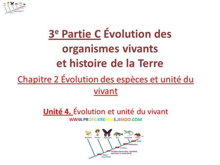 3e Partie C Évolution des organismes vivants et histoire de la Terre