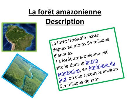 La forêt amazonienne Description
