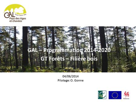 GAL – Programmation 2014-2020 GT Forêts – Filière bois 04/06/2014 Pilotage: O. Gonne.