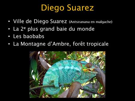 Diego Suarez Ville de Diego Suarez (Antsiranana en malgache) La 2 e plus grand baie du monde Les baobabs La Montagne d’Ambre, forêt tropicale.