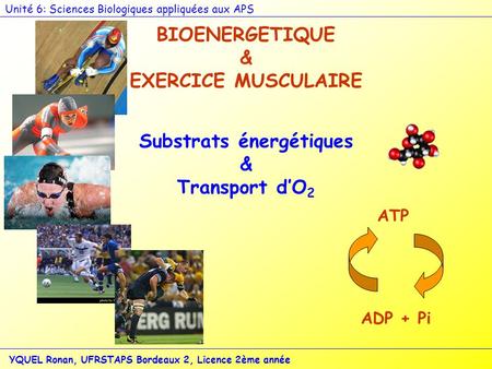 Substrats énergétiques