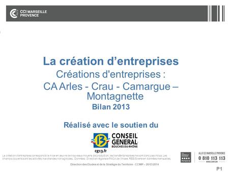 P1 La création d’entreprises Créations d'entreprises : CA Arles - Crau - Camargue – Montagnette Bilan 2013 Réalisé avec le soutien du Direction des Etudes.