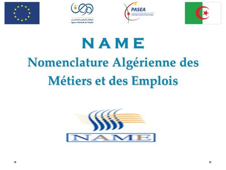 N A M E Nomenclature Algérienne des Métiers et des Emplois