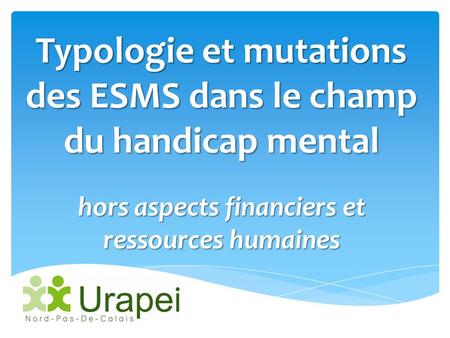3 - Typologie des ESMS Typologie et mutations des ESMS dans le champ du handicap mental hors aspects financiers et ressources humaines.