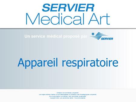 Appareil respiratoire Un service médical proposé par Utilisation non commerciale uniquement. Les images de Servier Medical Art sont téléchargeables et.