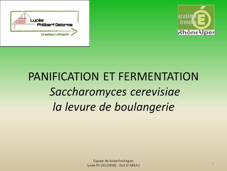 PANIFICATION ET FERMENTATION Saccharomyces cerevisiae la levure de boulangerie 1 Equipe de biotechnologies lycée Ph DELORME - ISLE D'ABEAU.
