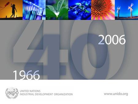 Www.unido.org. Organisation des Nations Unies pour le D é veloppement Industriel Bureau de Promotion des Investissements et de la technologie de Marseille.
