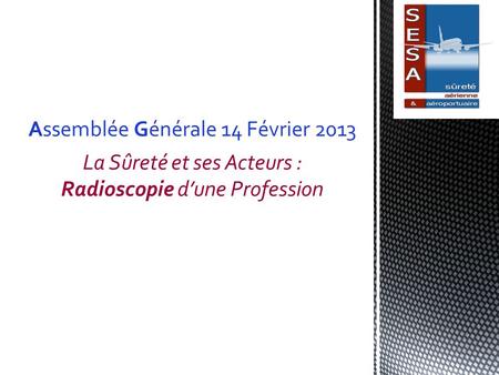 Assemblée Générale 14 Février 2013 La Sûreté et ses Acteurs : Radioscopie d’une Profession.